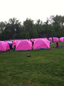Yes, those tents ARE pink